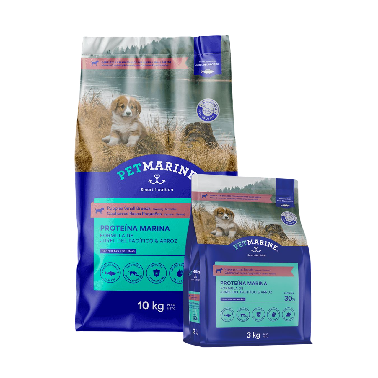 Perro-Cachorro-Raza-Pequena-Photoroom